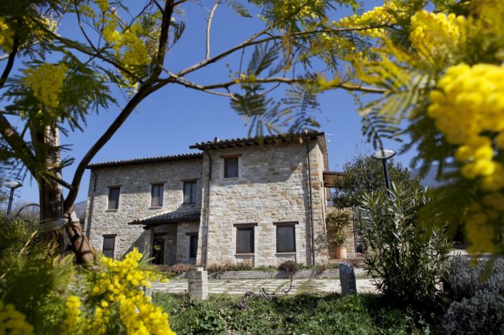 Situata in un oliveto, Villa Rosy è una casa colonica storica con panorama su Assisi, ideale per momenti di relax e passeggiate.