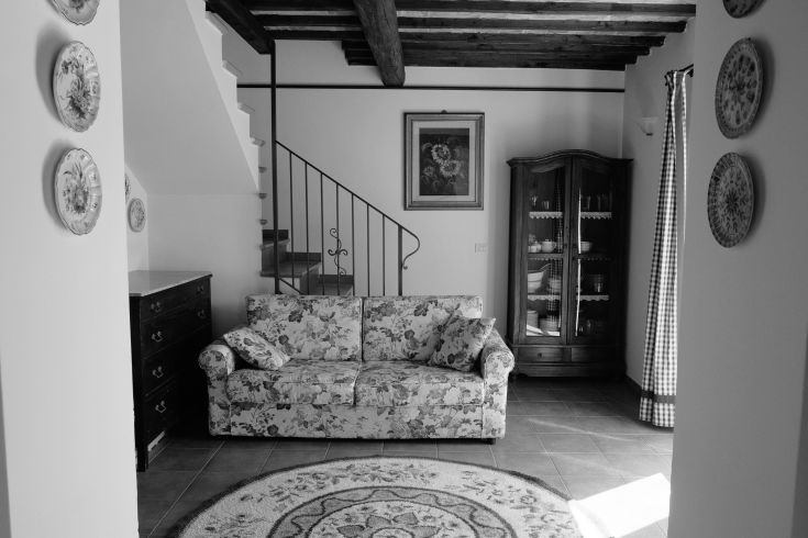 Elegant living room decorated in black and white, featuring a floral patterned sofa and dark wood elements.