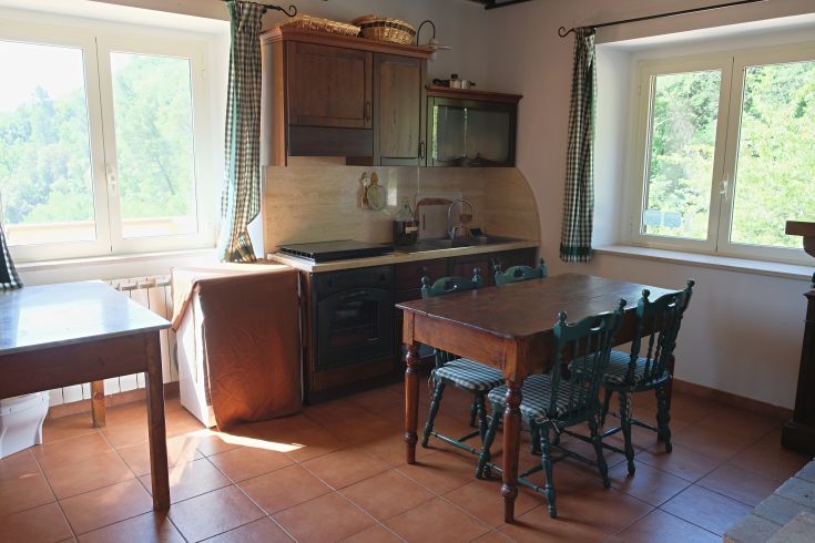 Rustic kitchen with wooden furniture and ample natural light, overlooking a well-maintained garden.