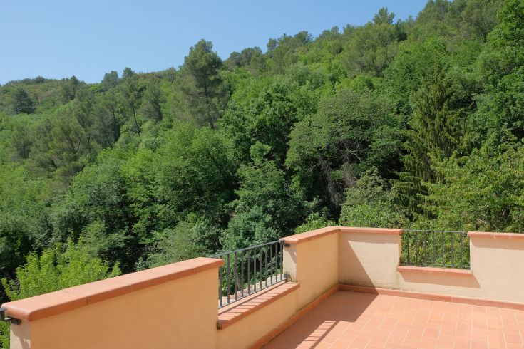 A panoramic scene of a terrace surrounded by lush green vegetation.
