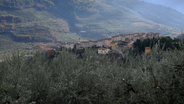 Stone farmhouse surrounded by olive groves and green areas, featuring a pool. Ideal for those seeking tranquility.