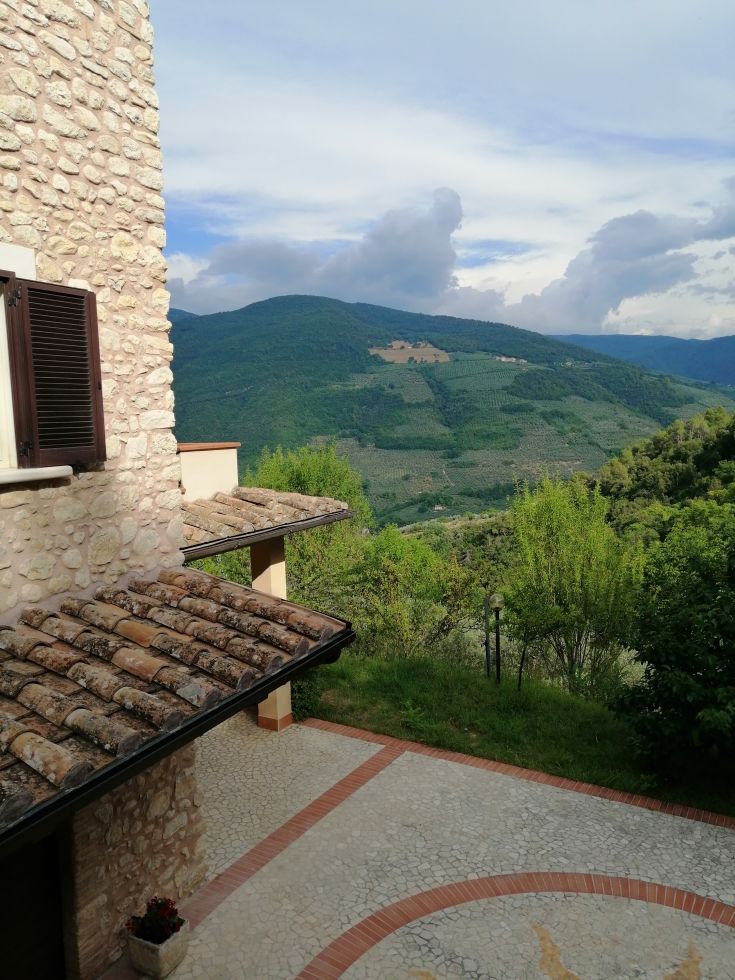 A garden surrounded by olive trees, featuring lush plants and a mountainous backdrop.