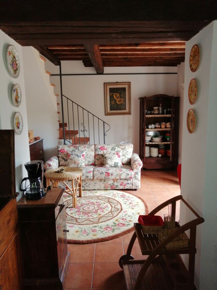 Cozy living room interior with light wood furniture and delicate plant decorations.