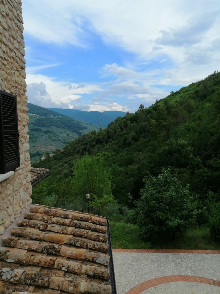 Scene of olive groves and forests in a quiet corner of Valnerina.