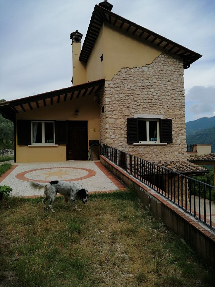 A renovated farmhouse surrounded by olive groves and featuring an outdoor swimming pool.