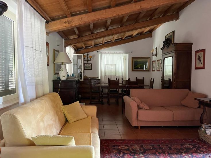 A spacious and well-lit living room featuring rustic elements and classic details.