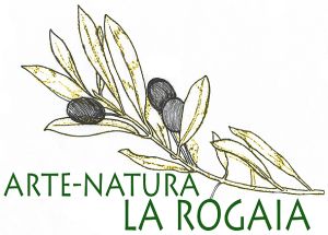 Un ramo di olivo con foglie e frutti, rappresentativo della natura. Un ambiente rilassante in Umbria.