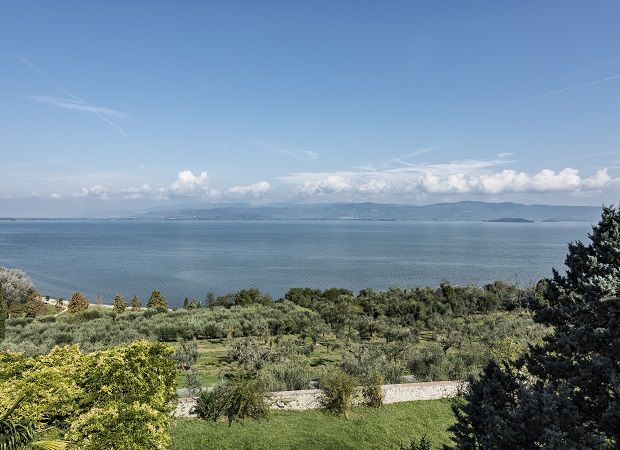 Scène d'un lac entouré d'oliviers sous un ciel dégagé.