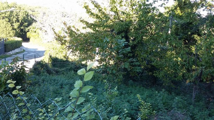 Una scena rilassante di una campagna verdeggiante, immersa nella natura, che trasmette tranquillità.