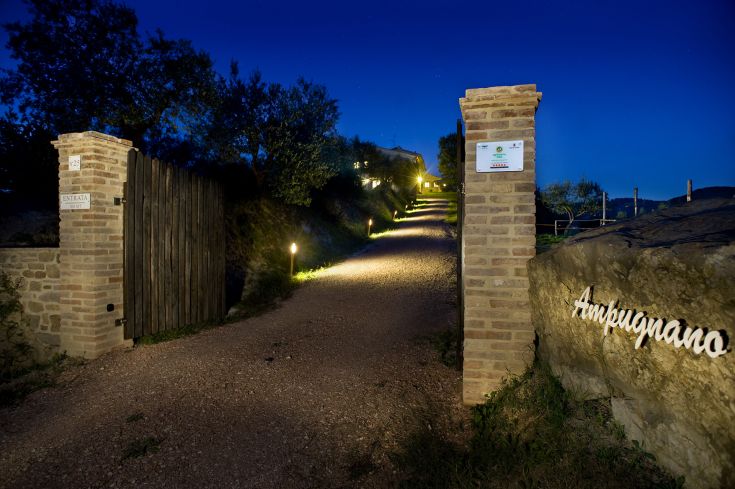 Une avenue tranquille mène à un bâtiment orné de lumières tamisées et entouré de verdure.
