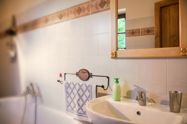 Une salle de bain confortable avec un lavabo, un miroir et des détails en bois, parfaite pour des moments de détente.