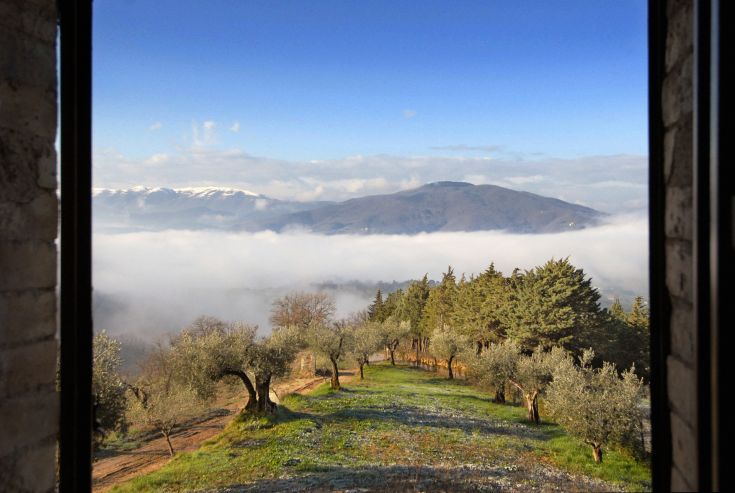 Une scène d'oliveraies et de collines enveloppées de brouillard, présentant le paysage umbrou.