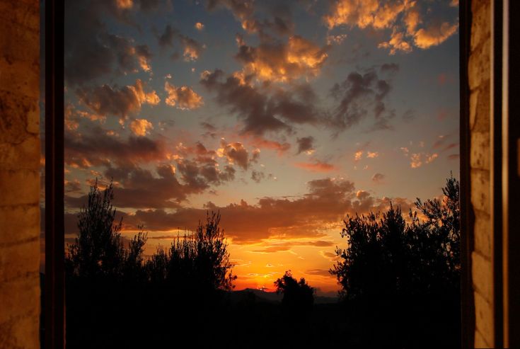 Un coucher de soleil serein avec des nuages colorés et des ombres d'arbres à l'arrière-plan.
