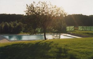 A pool located in a green area surrounded by grass and trees, amidst a natural environment.