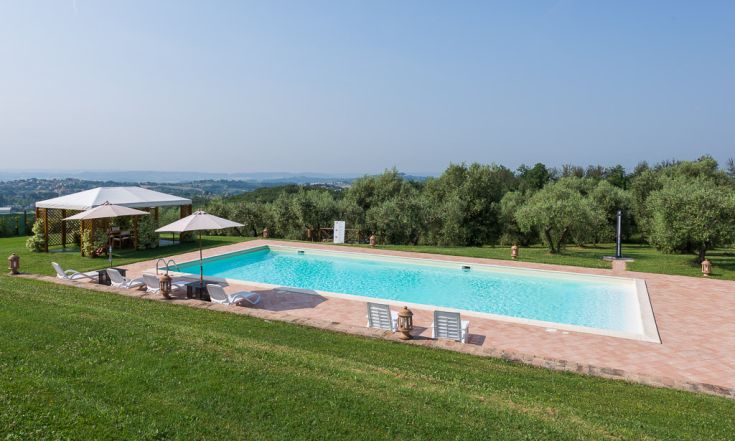 A pool nestled in nature, surrounded by olive trees and lush greenery, perfect for relaxation.