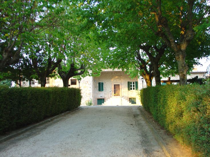 Una casa in campagna, circondata da alberi e siepi, immersa in un ambiente naturale tranquillo.
