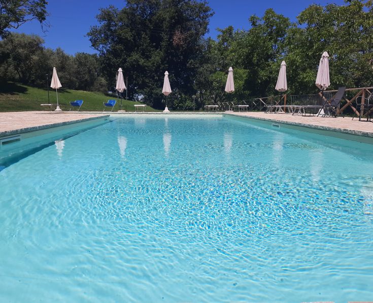 Una piscina limpida circondata da ulivi e lettini, perfetta per momenti di relax all'aperto.