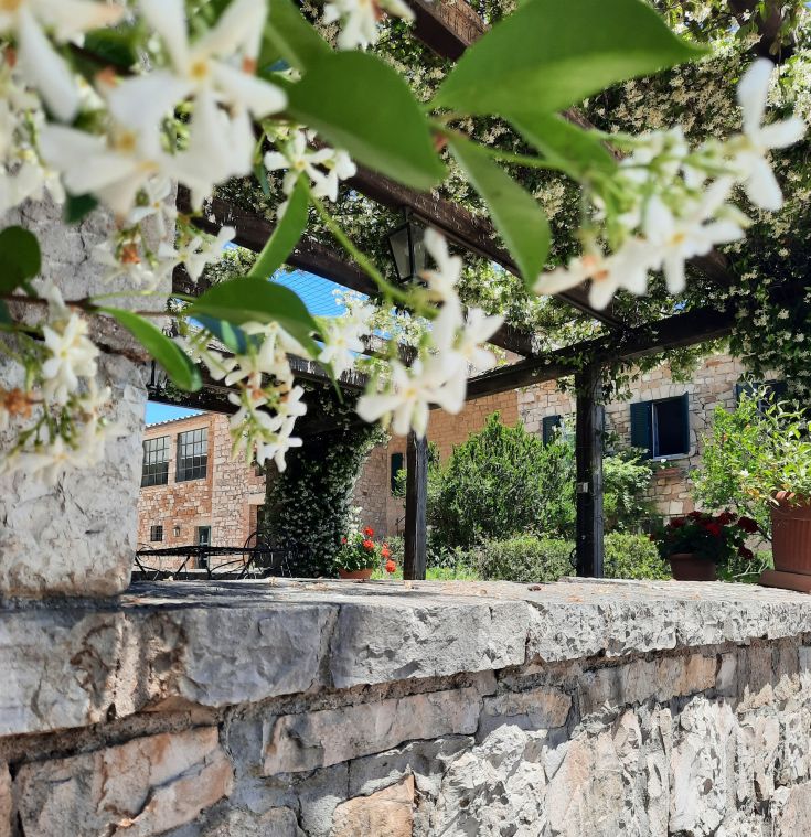 Un agriturismo accogliente circondato da vegetazione e fiori bianchi, composto da un patio semplice.