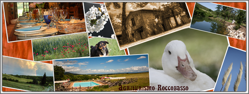 Circondato da spazi verdi, il podere Roccobasso offre un ambiente tranquillo per apprezzare i prodotti locali.