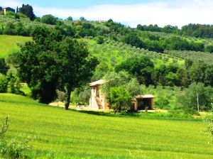 Two apartments in a stone building in Umbria, surrounded by green hills and a beautiful view.