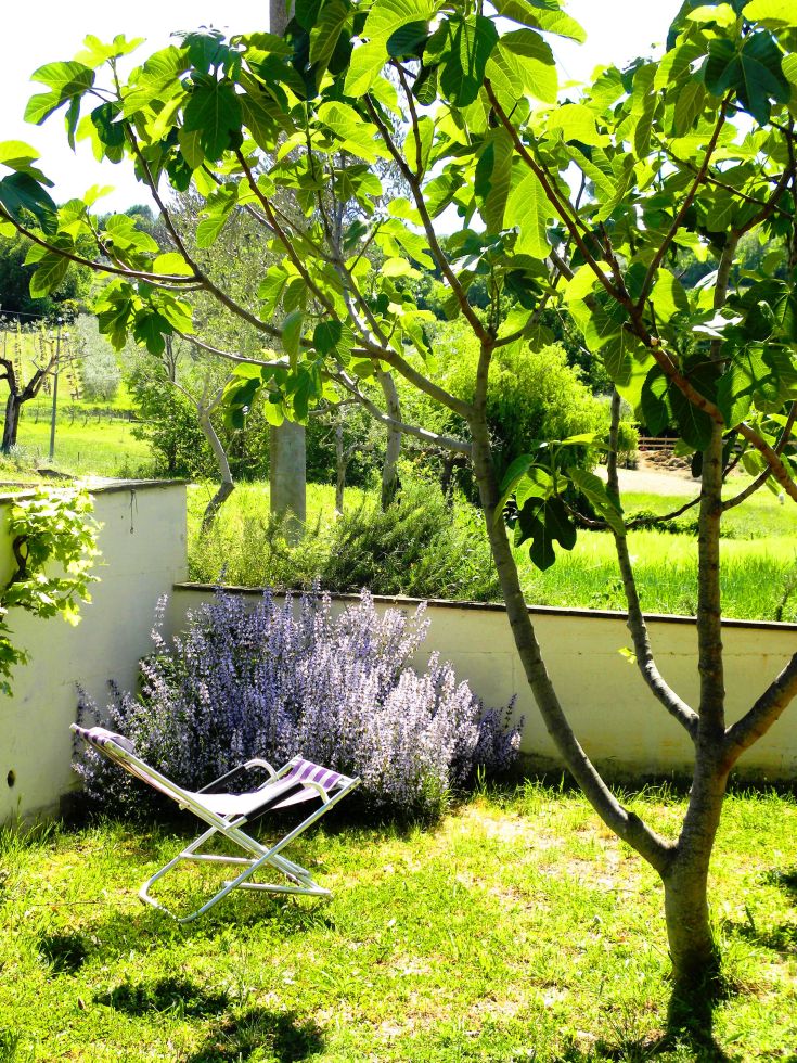 A peaceful garden nook, featuring comfortable seating and surrounded by blooming plants, perfect for relaxation.