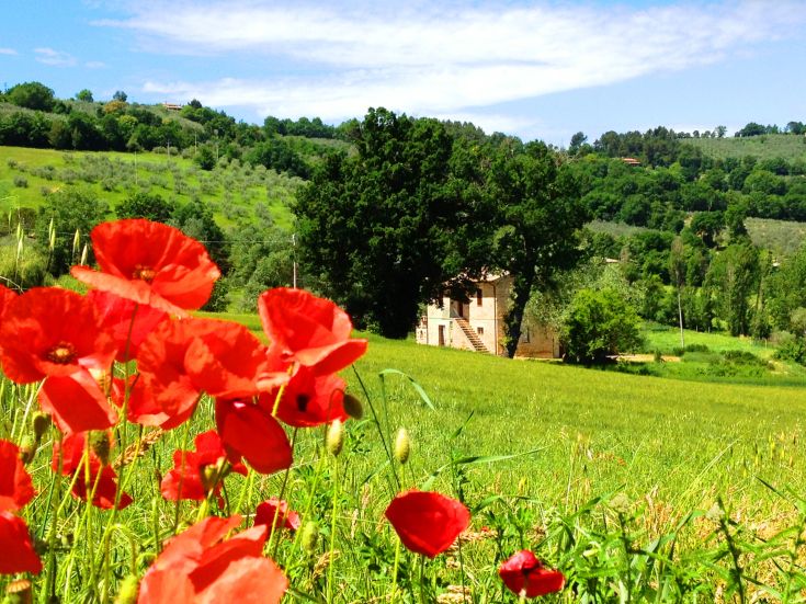 Apartments in a renovated stone house surrounded by Umbrian hills, offering great views and comfort.