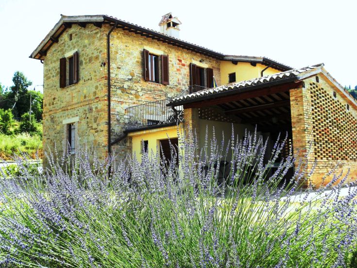 A typical stone house in Umbria, surrounded by lavender plants and overlooking the countryside.
