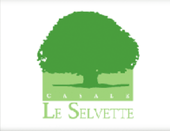 Countryside complex surrounded by trees, perfect for families or groups. Simple apartments with a summer pool.