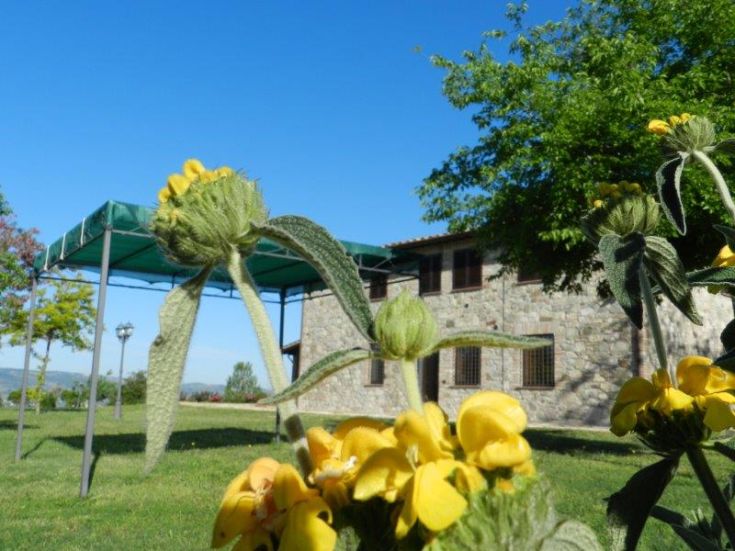 Ein rustikales Landhaus inmitten der Natur, geschmückt mit gelben Blumen und einem rustikalen Gebäude im Hintergrund.