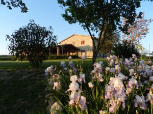 Bauernhaus umgeben von grünen Landschaften, mit gut ausgestatteten Apartments und einem blühenden Garten.