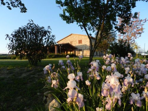 Farmhouse surrounded by green landscapes, featuring well-furnished apartments and a blooming garden.