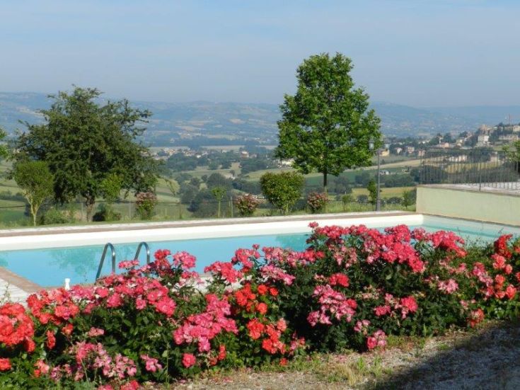 Eine Szene mit einem Pool, eingebettet in die Landschaft, umgeben von Blumen und sanften grünen Hügeln.