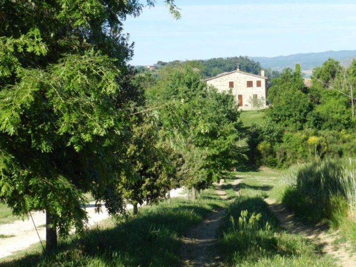Ein Panorama eines Bauernhofs inmitten der grünen umbrischen Landschaft.