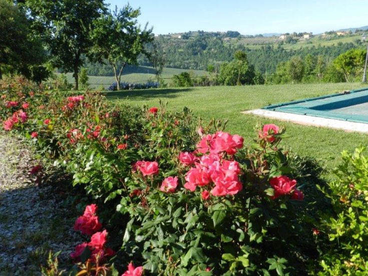 Ein Garten mit rosa Rosen und einem großen, typischen Grünbereich der Umbrien.