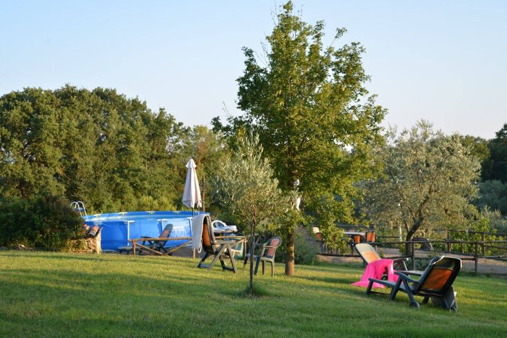 Une zone sereine avec une piscine entourée de verdure, d'arbres et de plantes. Parfaite pour se détendre et se promener tranquillement.
