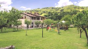 A green building surrounded by a large garden, suitable for families with spaces for play and pets.