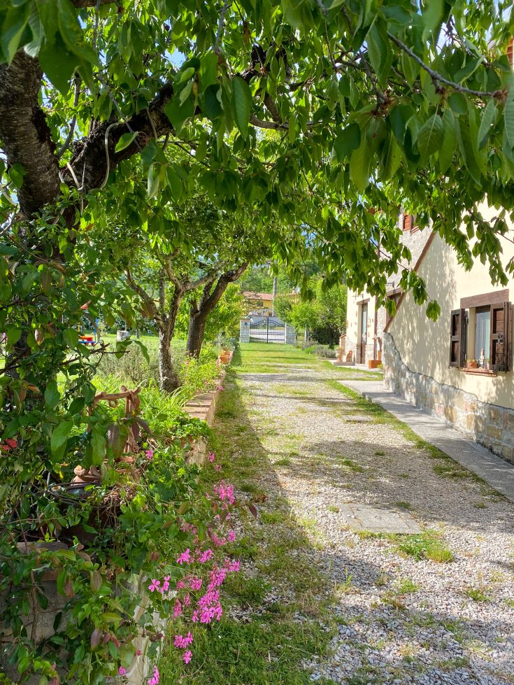 A tree-lined avenue with pink flowers leading to the entrance of a peaceful building.