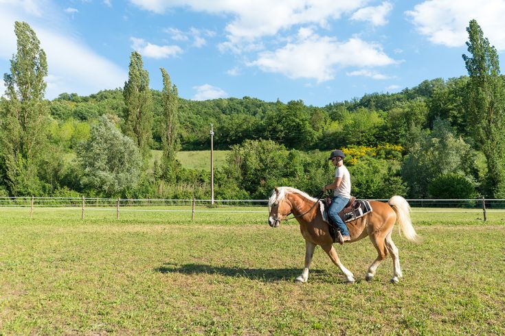 A knight riding a horse, surrounded by a serene and lush countryside.