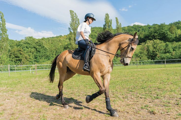 A woman rides a horse in a vast green area, sunlit and surrounded by nature.