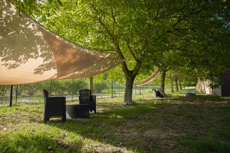 A serene outdoor space with simple furniture in a well-maintained garden.