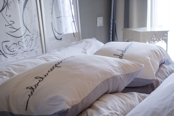 Cozy room with comfy pillows and understated decorations, perfect for a tranquil stay.