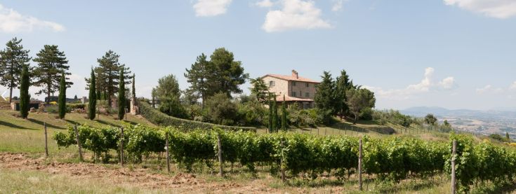 Une villa entourée de vignobles dans la paisible campagne ombrienne.