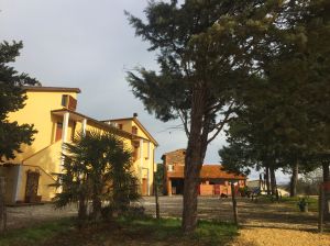 A farmhouse in nature, surrounded by trees and greenery, perfect for a serene getaway.