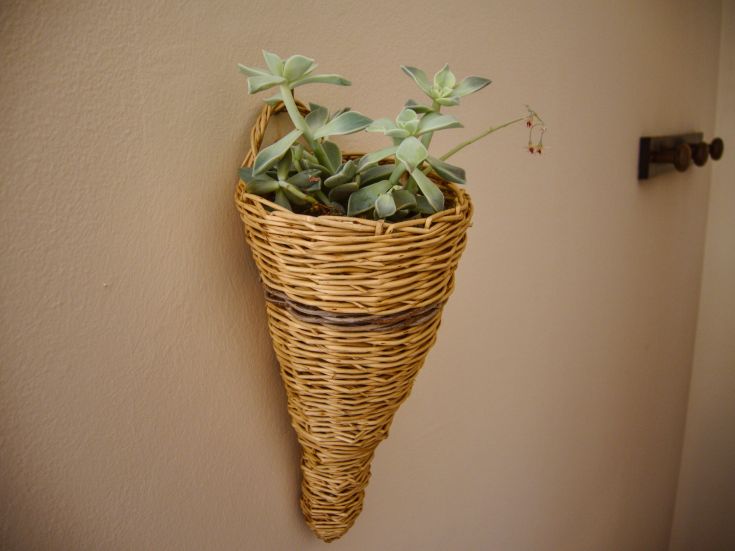 A simple wicker vase hanging on a wall, showcasing succulent plants.