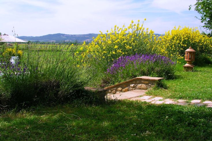 Ein grüner Bereich mit einer Vielzahl von Blumen und Pflanzen, perfekt für Momente der Ruhe im Freien.