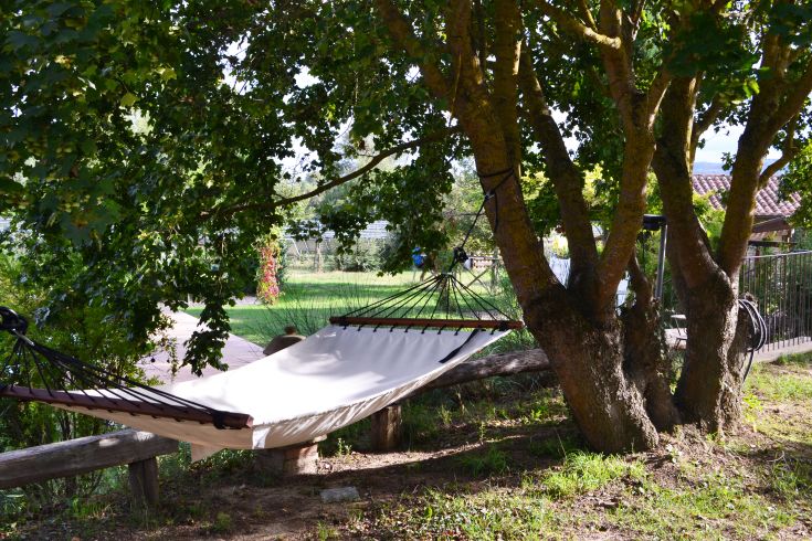 Eine Hängematte zwischen Bäumen in einer ruhigen natürlichen Umgebung, perfekt für einen Moment der Entspannung.