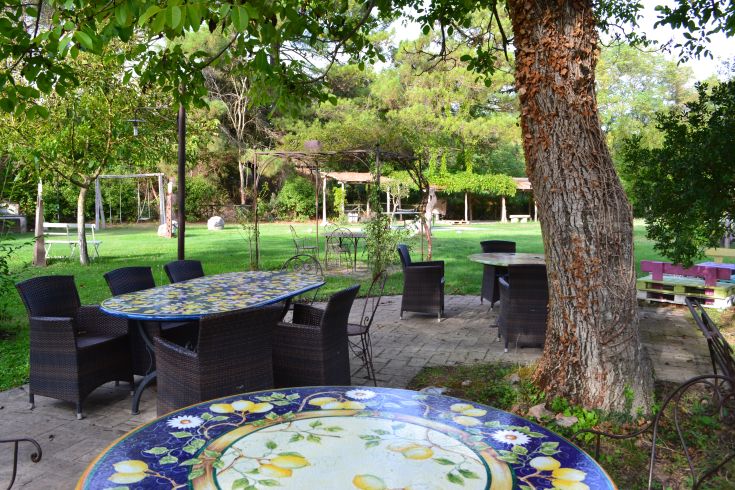 Ein ruhiger Garten im Freien mit einem einfachen Tisch, umgeben von Pflanzen.