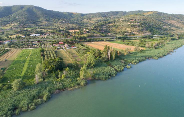 Un panorama verdeggianti con dolci colline che circondano un lago tranquillo, ideale per chi ama la natura.