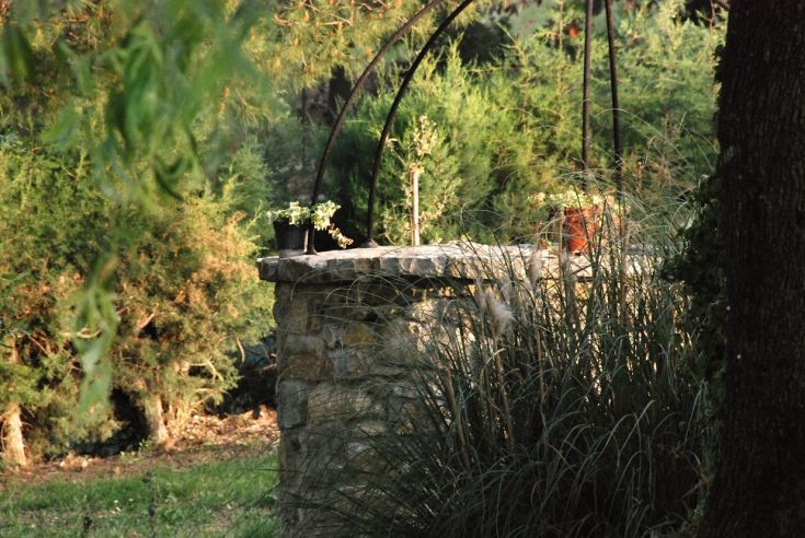 A peaceful outdoor garden with various plants arranged along a stone wall.