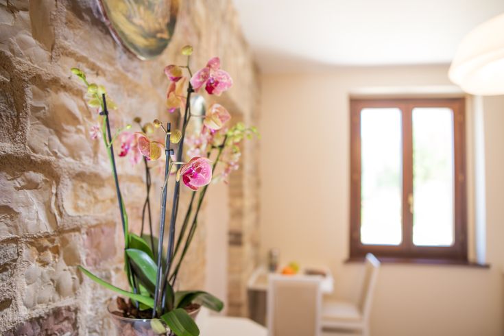Un vaso con orchidee rosa arricchisce uno spazio rilassante con pareti in pietra.